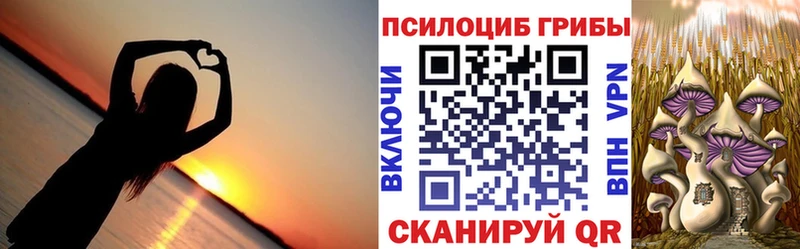 Псилоцибиновые грибы MAGIC MUSHROOMS  Новозыбков 