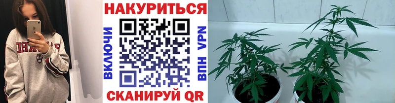 Каннабис Amnesia  omg маркетплейс  Новозыбков 